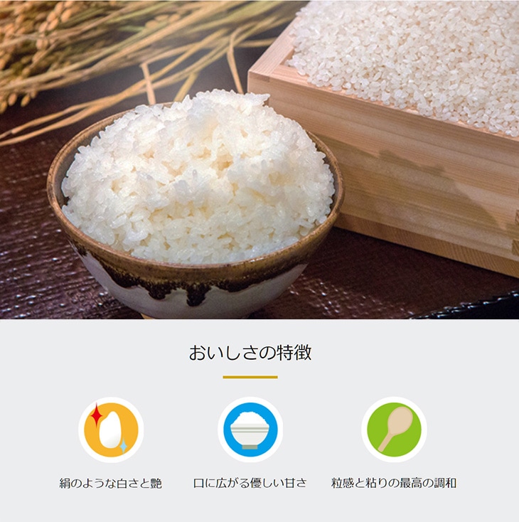 令和4年産　福井県産　::　精白米　::　米・関連商品　いちほまれ10KG(2KG×5袋)